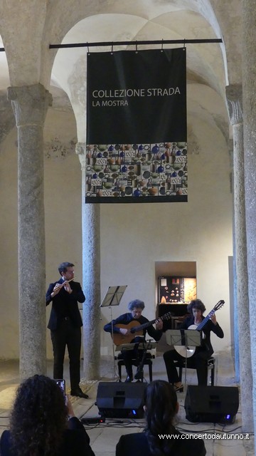 Museo Archeologico Nazionale della Lomellina